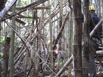 081130中井新規整備地区