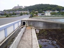 P1000004 - コピー
