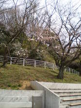 090328¿Ū쥵0.51ʬ餭