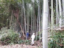 �إӤϤǤʤ��ä�����