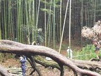 120225��ë�϶�⥦������������ (2)