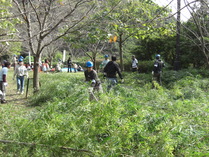 081018��ʧ��