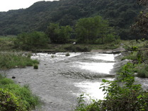 081010���龲�Ǥ�ή��