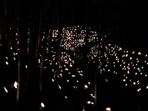 211106小机城址市民の森 (8)
