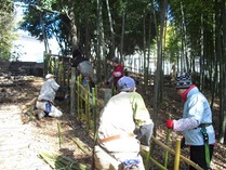 120129国際プール竹垣つくり (1)