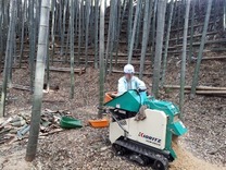 竹灯籠処理チップ化