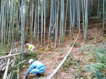 181209伊豆竹林整備と地元懇親会 (2)