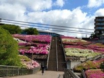 北山田駅からの大階段