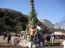 110109どんど1