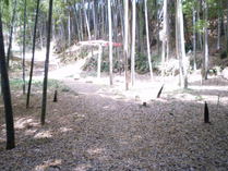 090502����դΤ��夦����