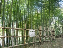 竹垣・下げ看板