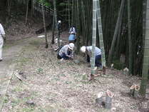 080928竹灯籠設置1