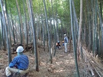 �᤯���Ӿ����۸���