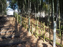 120129国際プール竹垣つくり (2)