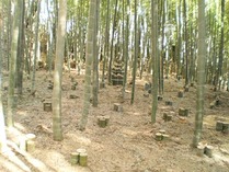 121021竹灯籠設置03