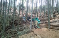 都筑折本