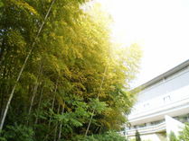 090502�����ˤʤä�����