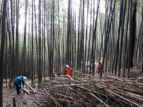 中井町半分形 (2)