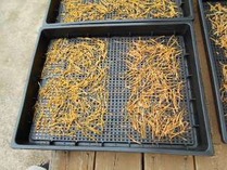 �̾�����2����� (2)