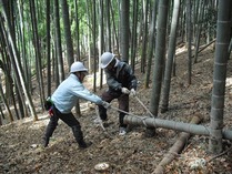 120218���ɤ�ι������϶�Ѻ��