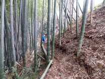 作業用みちづくり