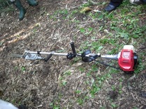 081001������ľ������