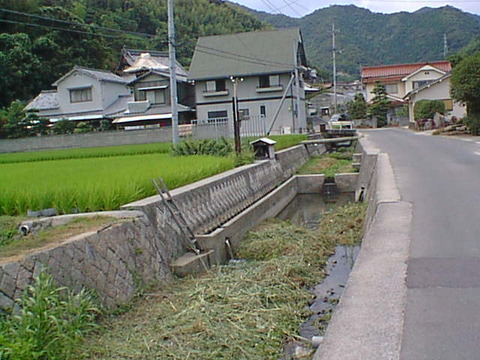 DSC00081