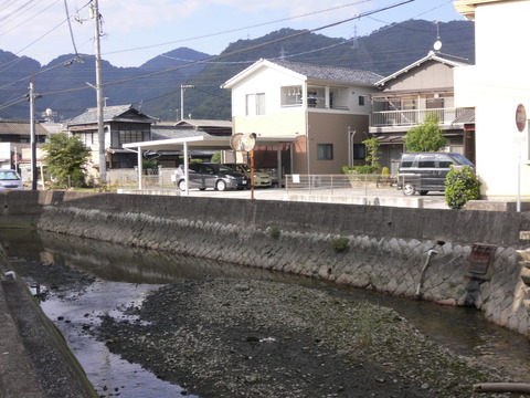 P1010233
