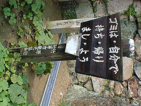 DSC00075