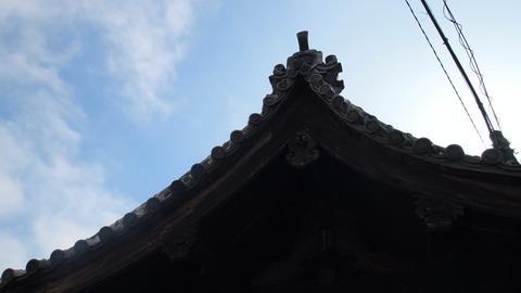 P5045707