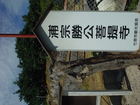 DSC06988