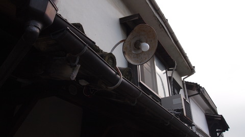 P5045627