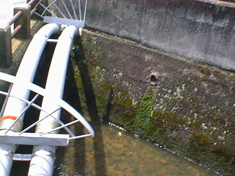 DSC00050