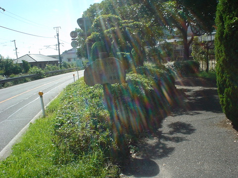 DSC06922