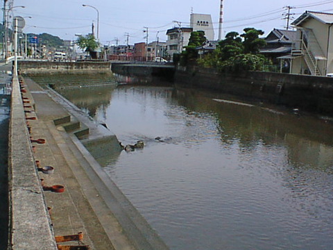 DSC00091