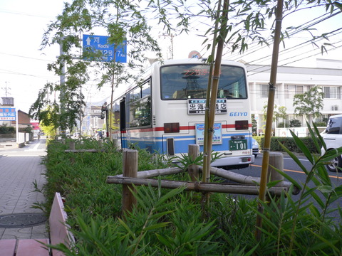 P1010194