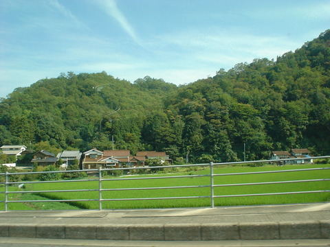 DSC07019