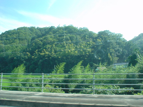 DSC07021