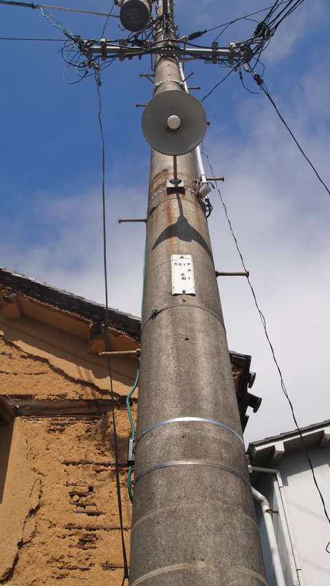 P5045684