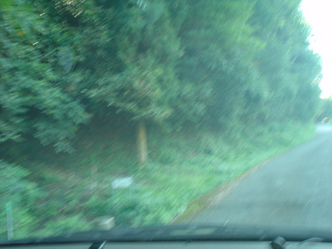 DSC07018