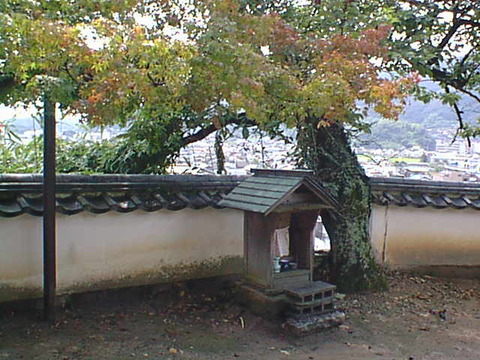 DSC00081