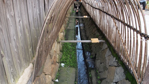 P5045674