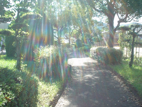 DSC06924