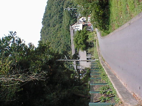 DSC00031