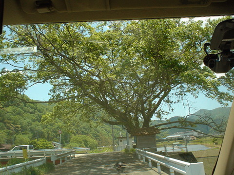 DSC01506
