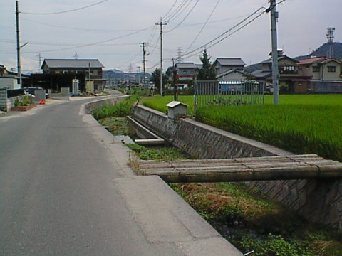 DSC00084