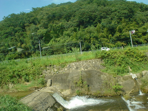 DSC07012