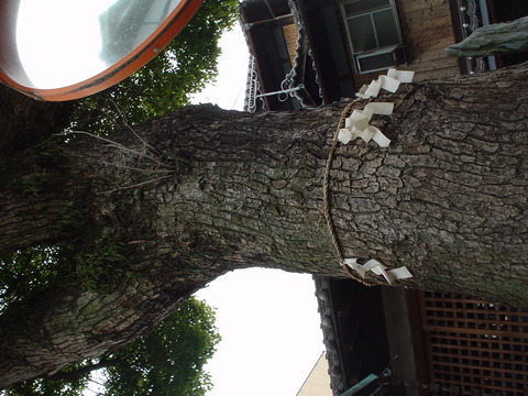 DSC01386