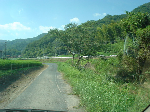 DSC07010