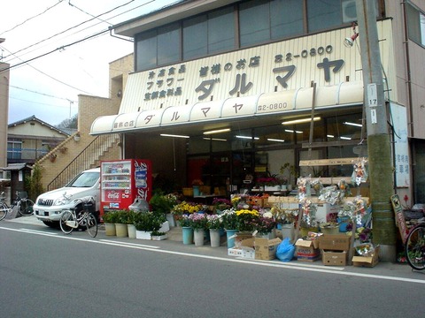 20081231a